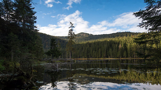 Wandern im Zwieseler Winkel3